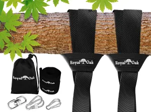 12 ft. Double Hanging Swing Strap Kit