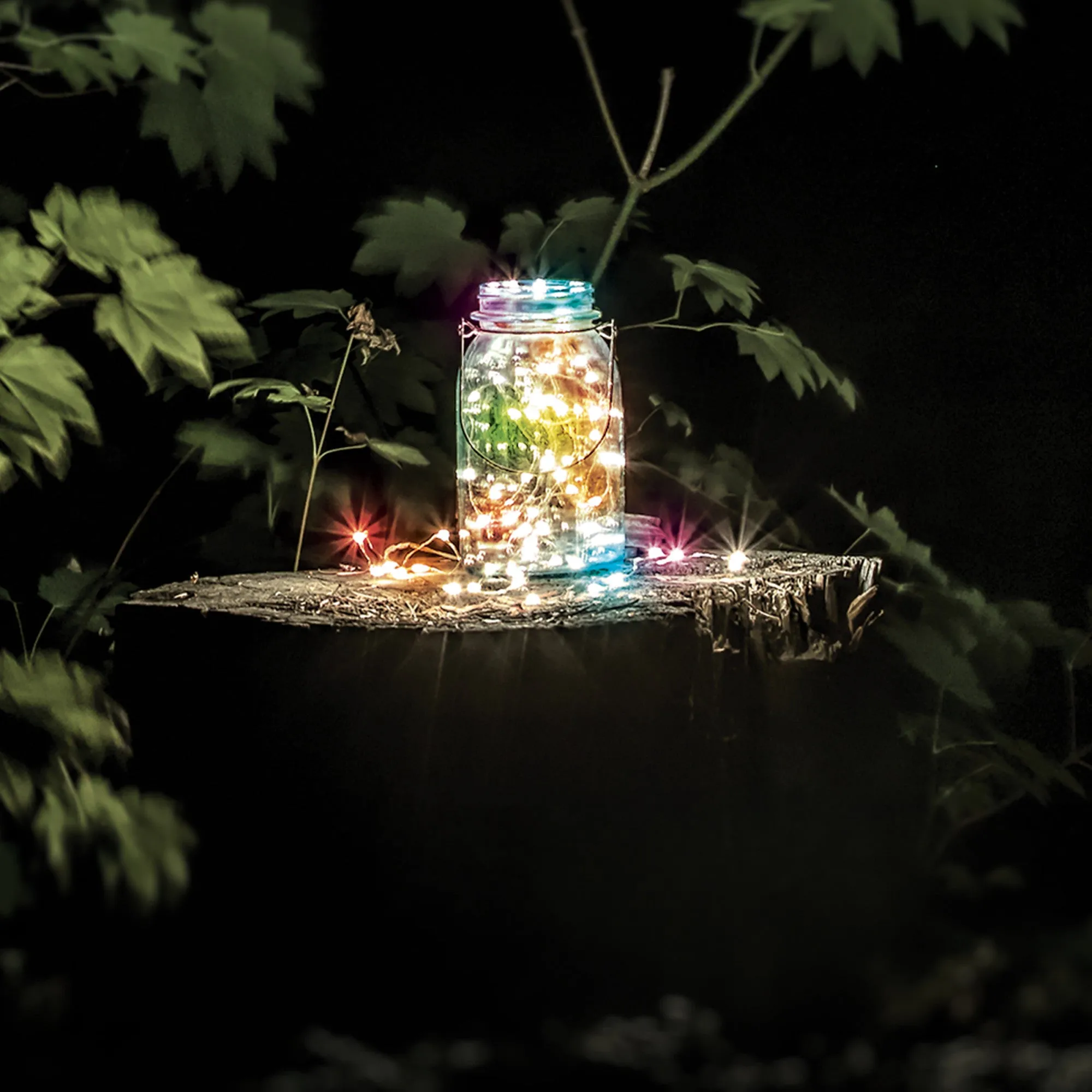 30 ft. Silver Wire RGB Fairy String Light