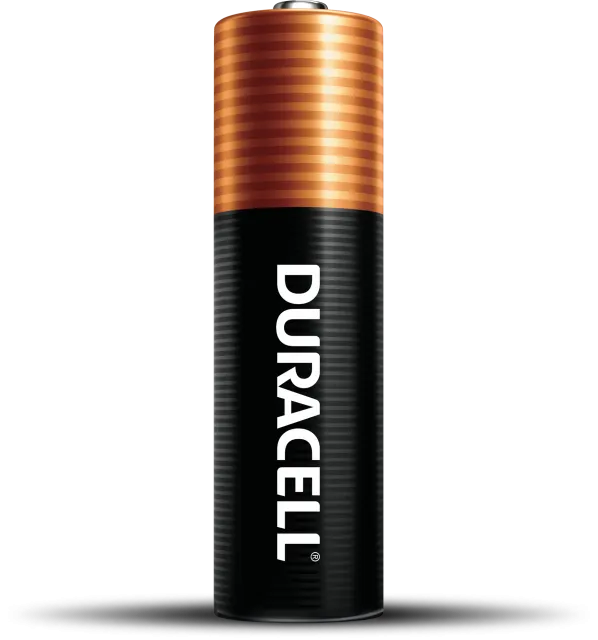 Duracell Coppertop AA Alkaline Batteries