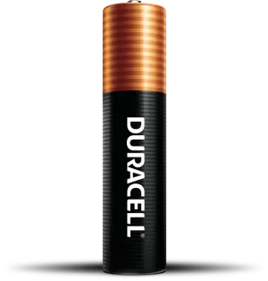 Duracell Coppertop AAA Alkaline Batteries