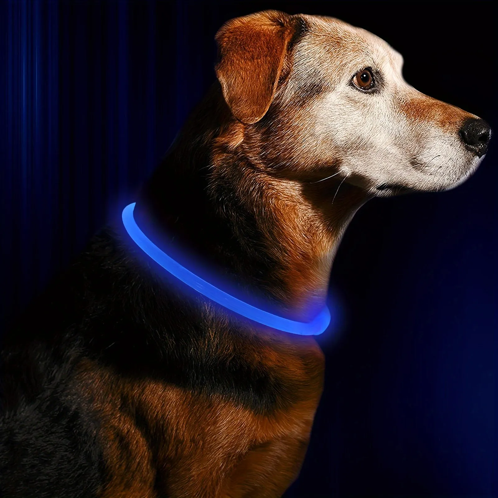 Glowing Dog Collar Rechargeable LED Necklace for AntiLost