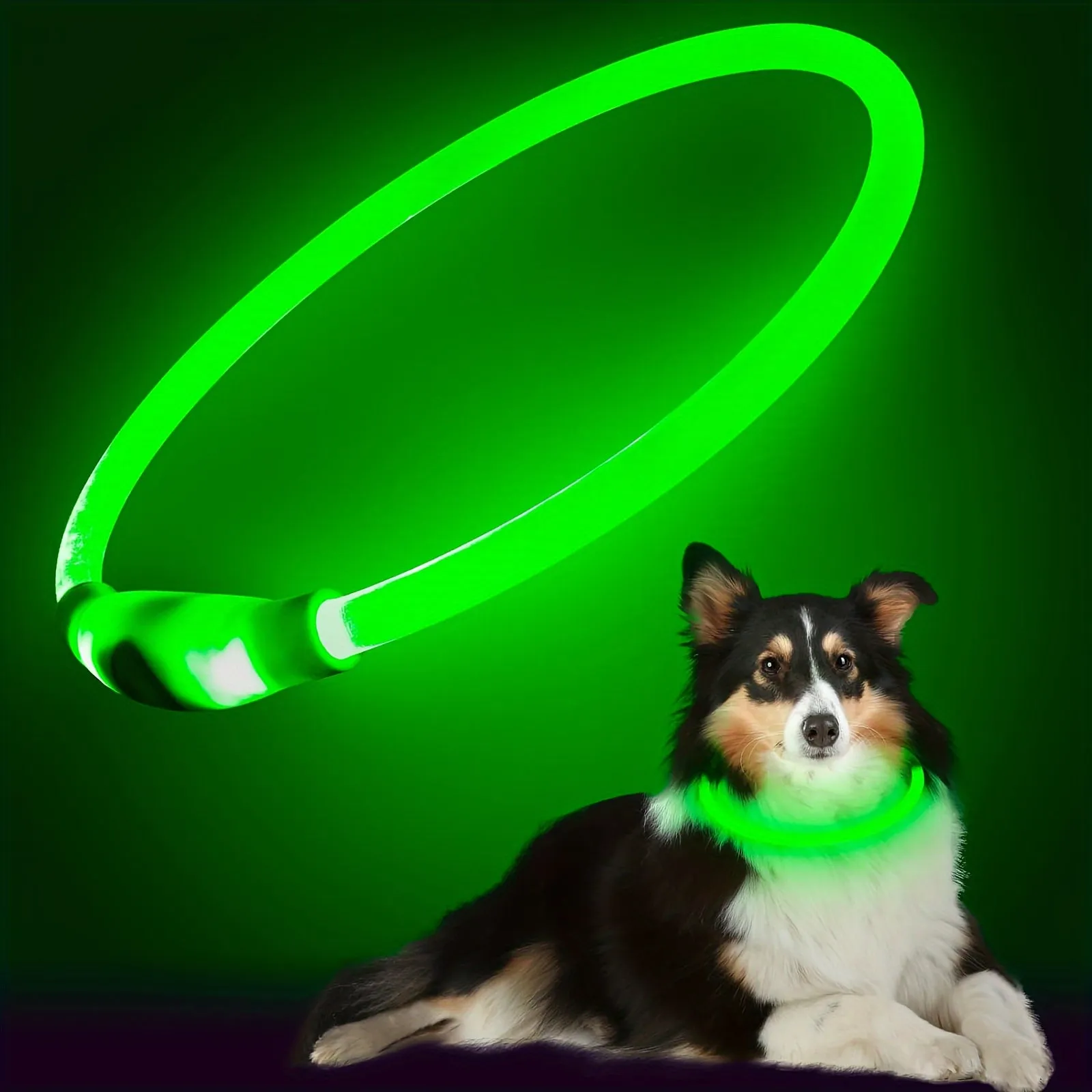 Glowing Dog Collar Rechargeable LED Necklace for AntiLost