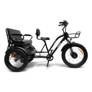 GOBike Forte w/ Rear Seat - Step-Through Fat Tire Electric Tricycle - Top Speed 20mph - 750W