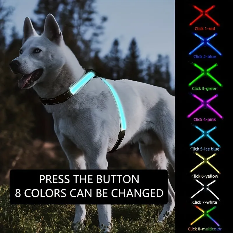 Safe Night Walks with LED Pet Collar and Harness