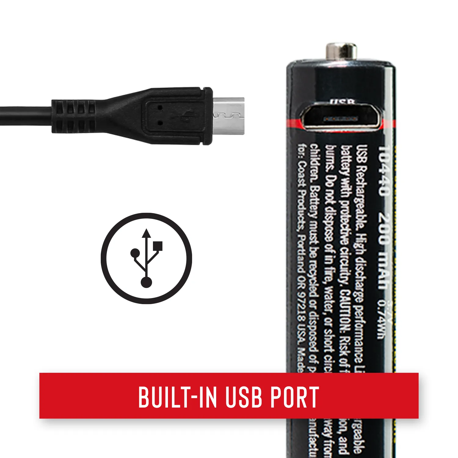 ZX100 Rechargeable Battery